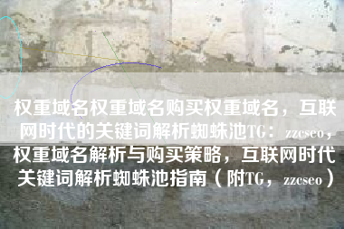 权重域名权重域名购买权重域名，互联网时代的关键词解析蜘蛛池TG：zzcseo，权重域名解析与购买策略，互联网时代关键词解析蜘蛛池指南（附TG，zzcseo）