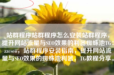 站群程序站群程序怎么安装站群程序，提升网站流量与SEO效果的利器蜘蛛池TG：zzcseo，站群程序安装指南，提升网站流量与SEO效果的蜘蛛池利器，TG教程分享。