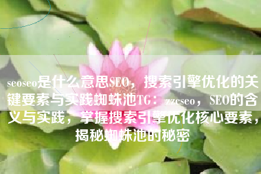 seoseo是什么意思SEO，搜索引擎优化的关键要素与实践蜘蛛池TG：zzcseo，SEO的含义与实践，掌握搜索引擎优化核心要素，揭秘蜘蛛池的秘密