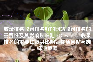 收录排名收录排名好的网站收录排名的重要性及其影响蜘蛛池TG：zzcseo，收录排名的重要性及其影响，优质网站与蜘蛛池策略