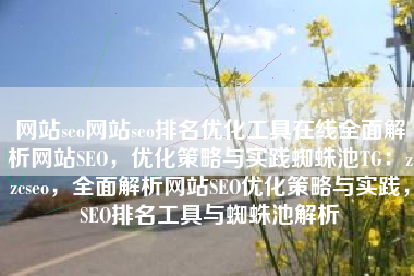 网站seo网站seo排名优化工具在线全面解析网站SEO，优化策略与实践蜘蛛池TG：zzcseo，全面解析网站SEO优化策略与实践，SEO排名工具与蜘蛛池解析
