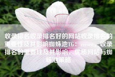 收录排名收录排名好的网站收录排名的重要性及其影响蜘蛛池TG：zzcseo，收录排名的重要性及其影响，优质网站与蜘蛛池策略