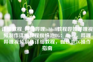 详细教程_哔哩哔哩bilibili教程哔哩哔哩视频制作详细教程蜘蛛池TG：zzcseo，哔哩哔哩视频制作详细教程，蜘蛛池TG操作指南