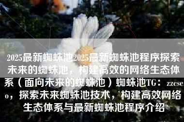 2025最新蜘蛛池2025最新蜘蛛池程序探索未来的蜘蛛池，构建高效的网络生态体系（面向未来的蜘蛛池）蜘蛛池TG：zzcseo，探索未来蜘蛛池技术，构建高效网络生态体系与最新蜘蛛池程序介绍