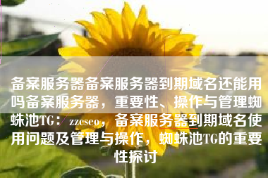 备案服务器备案服务器到期域名还能用吗备案服务器，重要性、操作与管理蜘蛛池TG：zzcseo，备案服务器到期域名使用问题及管理与操作，蜘蛛池TG的重要性探讨