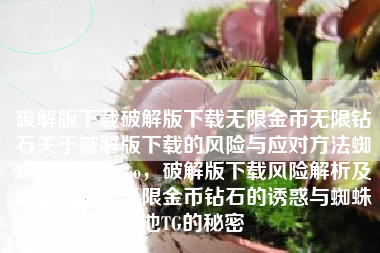 破解版下载破解版下载无限金币无限钻石关于破解版下载的风险与应对方法蜘蛛池TG：zzcseo，破解版下载风险解析及应对方法，无限金币钻石的诱惑与蜘蛛池TG的秘密