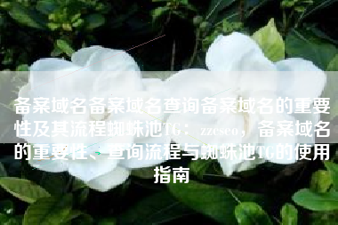 备案域名备案域名查询备案域名的重要性及其流程蜘蛛池TG：zzcseo，备案域名的重要性、查询流程与蜘蛛池TG的使用指南