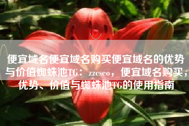 便宜域名便宜域名购买便宜域名的优势与价值蜘蛛池TG：zzcseo，便宜域名购买，优势、价值与蜘蛛池TG的使用指南