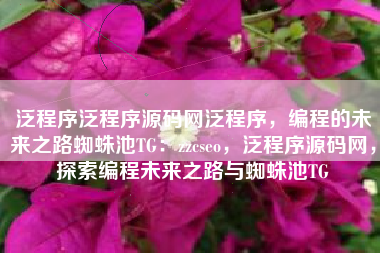 泛程序泛程序源码网泛程序，编程的未来之路蜘蛛池TG：zzcseo，泛程序源码网，探索编程未来之路与蜘蛛池TG