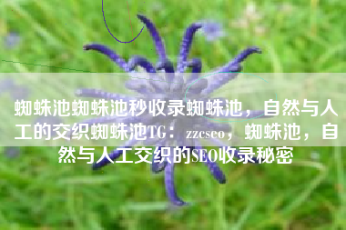 蜘蛛池蜘蛛池秒收录蜘蛛池，自然与人工的交织蜘蛛池TG：zzcseo，蜘蛛池，自然与人工交织的SEO收录秘密