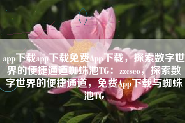 app下载app下载免费App下载，探索数字世界的便捷通道蜘蛛池TG：zzcseo，探索数字世界的便捷通道，免费App下载与蜘蛛池TG