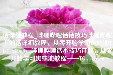 话详细教程_哔哩哔哩话话技巧哔哩哔哩上的话详细教程，从零开始学习蜘蛛池TG：zzcseo，哔哩哔哩话术技巧详解，从零开始学习蜘蛛池教程——TG，zzcseo