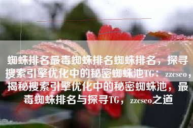 蜘蛛排名最毒蜘蛛排名蜘蛛排名，探寻搜索引擎优化中的秘密蜘蛛池TG：zzcseo，揭秘搜索引擎优化中的秘密蜘蛛池，最毒蜘蛛排名与探寻TG，zzcseo之道