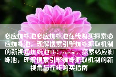 必应蜘蛛池必应蜘蛛池在线购买探索必应蜘蛛池，理解搜索引擎蜘蛛抓取机制的新视角蜘蛛池TG：zzcseo，探索必应蜘蛛池，理解搜索引擎蜘蛛抓取机制的新视角与在线购买指南