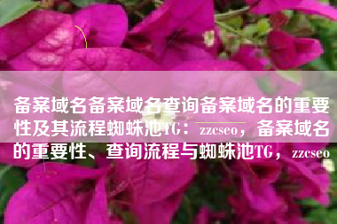 备案域名备案域名查询备案域名的重要性及其流程蜘蛛池TG：zzcseo，备案域名的重要性、查询流程与蜘蛛池TG，zzcseo