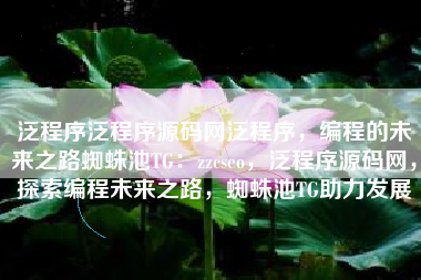 泛程序泛程序源码网泛程序，编程的未来之路蜘蛛池TG：zzcseo，泛程序源码网，探索编程未来之路，蜘蛛池TG助力发展