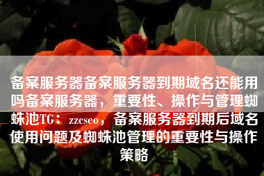 备案服务器备案服务器到期域名还能用吗备案服务器，重要性、操作与管理蜘蛛池TG：zzcseo，备案服务器到期后域名使用问题及蜘蛛池管理的重要性与操作策略