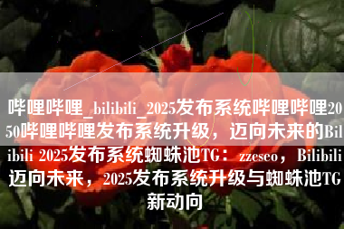 哔哩哔哩_bilibili_2025发布系统哔哩哔哩2050哔哩哔哩发布系统升级，迈向未来的Bilibili 2025发布系统蜘蛛池TG：zzcseo，Bilibili迈向未来，2025发布系统升级与蜘蛛池TG新动向
