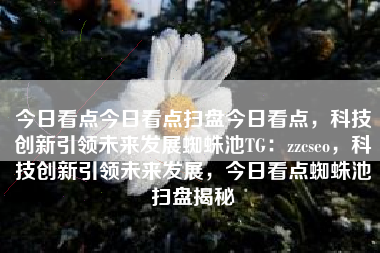 今日看点今日看点扫盘今日看点，科技创新引领未来发展蜘蛛池TG：zzcseo，科技创新引领未来发展，今日看点蜘蛛池扫盘揭秘