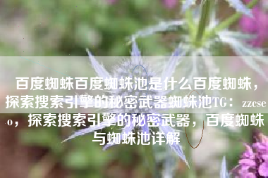 百度蜘蛛百度蜘蛛池是什么百度蜘蛛，探索搜索引擎的秘密武器蜘蛛池TG：zzcseo，探索搜索引擎的秘密武器，百度蜘蛛与蜘蛛池详解