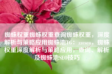 蜘蛛权重蜘蛛权重查询蜘蛛权重，深度解析与策略应用蜘蛛池TG：zzcseo，蜘蛛权重深度解析与策略应用，查询、解析及蜘蛛池SEO技巧