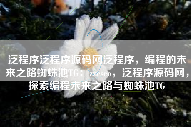 泛程序泛程序源码网泛程序，编程的未来之路蜘蛛池TG：zzcseo，泛程序源码网，探索编程未来之路与蜘蛛池TG