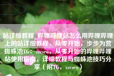 站详细教程_哔哩哔哩站怎么用哔哩哔哩上的站详细教程，从零开始，步步为营蜘蛛池TG：zzcseo，从零开始的哔哩哔哩站使用指南，详细教程与蜘蛛池技巧分享（附TG，zzcseo）