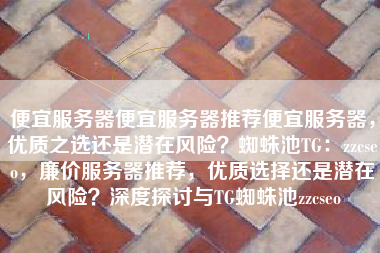 便宜服务器便宜服务器推荐便宜服务器，优质之选还是潜在风险？蜘蛛池TG：zzcseo，廉价服务器推荐，优质选择还是潜在风险？深度探讨与TG蜘蛛池zzcseo
