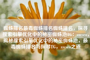 蜘蛛排名最毒蜘蛛排名蜘蛛排名，探寻搜索引擎优化中的秘密蜘蛛池TG：zzcseo，揭秘搜索引擎优化中的秘密蜘蛛池，最毒蜘蛛排名与探寻TG，zzcseo之道