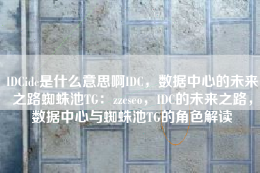 IDCidc是什么意思啊IDC，数据中心的未来之路蜘蛛池TG：zzcseo，IDC的未来之路，数据中心与蜘蛛池TG的角色解读