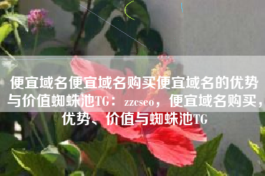 便宜域名便宜域名购买便宜域名的优势与价值蜘蛛池TG：zzcseo，便宜域名购买，优势、价值与蜘蛛池TG