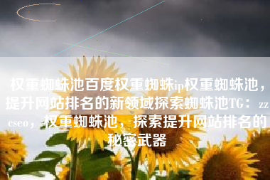 权重蜘蛛池百度权重蜘蛛ip权重蜘蛛池，提升网站排名的新领域探索蜘蛛池TG：zzcseo，权重蜘蛛池，探索提升网站排名的秘密武器