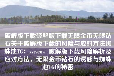 破解版下载破解版下载无限金币无限钻石关于破解版下载的风险与应对方法蜘蛛池TG：zzcseo，破解版下载风险解析及应对方法，无限金币钻石的诱惑与蜘蛛池TG的秘密