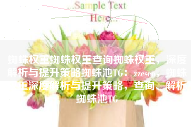 蜘蛛权重蜘蛛权重查询蜘蛛权重，深度解析与提升策略蜘蛛池TG：zzcseo，蜘蛛权重深度解析与提升策略，查询、解析蜘蛛池TG