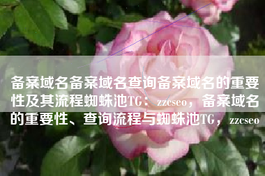 备案域名备案域名查询备案域名的重要性及其流程蜘蛛池TG：zzcseo，备案域名的重要性、查询流程与蜘蛛池TG，zzcseo