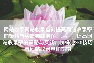 网站收录网站收录查询提高网站收录率的策略与实践蜘蛛池TG：zzcseo，提高网站收录率的策略与实践，蜘蛛池SEO技巧与网站收录查询指南