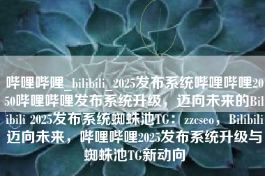 哔哩哔哩_bilibili_2025发布系统哔哩哔哩2050哔哩哔哩发布系统升级，迈向未来的Bilibili 2025发布系统蜘蛛池TG：zzcseo，Bilibili迈向未来，哔哩哔哩2025发布系统升级与蜘蛛池TG新动向