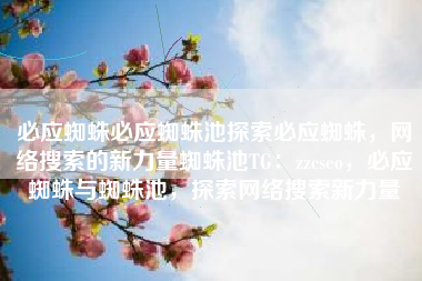 必应蜘蛛必应蜘蛛池探索必应蜘蛛，网络搜索的新力量蜘蛛池TG：zzcseo，必应蜘蛛与蜘蛛池，探索网络搜索新力量