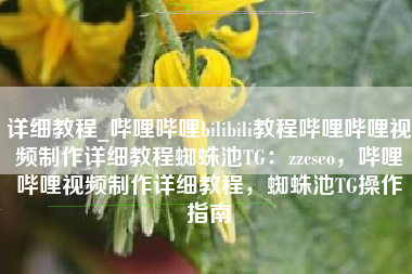 详细教程_哔哩哔哩bilibili教程哔哩哔哩视频制作详细教程蜘蛛池TG：zzcseo，哔哩哔哩视频制作详细教程，蜘蛛池TG操作指南
