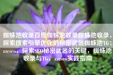 蜘蛛池收录百度蜘蛛池收录蜘蛛池收录，探索搜索引擎优化的秘密武器蜘蛛池TG：zzcseo，探索SEO秘密武器的关键，蜘蛛池收录与TG，zzcseo实践指南