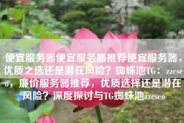 便宜服务器便宜服务器推荐便宜服务器，优质之选还是潜在风险？蜘蛛池TG：zzcseo，廉价服务器推荐，优质选择还是潜在风险？深度探讨与TG蜘蛛池zzcseo