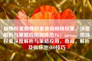 蜘蛛权重蜘蛛权重查询蜘蛛权重，深度解析与策略应用蜘蛛池TG：zzcseo，蜘蛛权重深度解析与策略应用，查询、解析及蜘蛛池SEO技巧