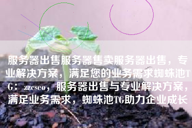 服务器出售服务器售卖服务器出售，专业解决方案，满足您的业务需求蜘蛛池TG：zzcseo，服务器出售与专业解决方案，满足业务需求，蜘蛛池TG助力企业成长