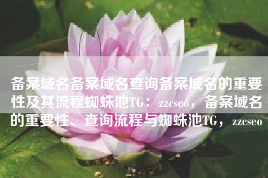 备案域名备案域名查询备案域名的重要性及其流程蜘蛛池TG：zzcseo，备案域名的重要性、查询流程与蜘蛛池TG，zzcseo