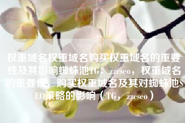 权重域名权重域名购买权重域名的重要性及其影响蜘蛛池TG：zzcseo，权重域名的重要性，购买权重域名及其对蜘蛛池SEO策略的影响（TG，zzcseo）