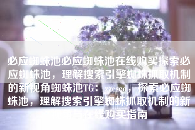 必应蜘蛛池必应蜘蛛池在线购买探索必应蜘蛛池，理解搜索引擎蜘蛛抓取机制的新视角蜘蛛池TG：zzcseo，探索必应蜘蛛池，理解搜索引擎蜘蛛抓取机制的新视角与在线购买指南