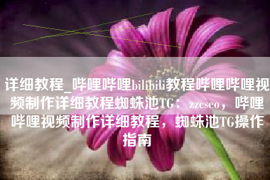 详细教程_哔哩哔哩bilibili教程哔哩哔哩视频制作详细教程蜘蛛池TG：zzcseo，哔哩哔哩视频制作详细教程，蜘蛛池TG操作指南