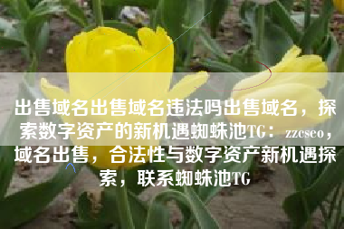 出售域名出售域名违法吗出售域名，探索数字资产的新机遇蜘蛛池TG：zzcseo，域名出售，合法性与数字资产新机遇探索，联系蜘蛛池TG