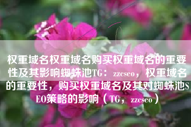 权重域名权重域名购买权重域名的重要性及其影响蜘蛛池TG：zzcseo，权重域名的重要性，购买权重域名及其对蜘蛛池SEO策略的影响（TG，zzcseo）