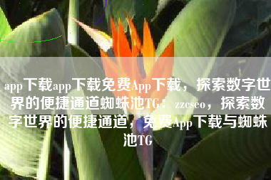 app下载app下载免费App下载，探索数字世界的便捷通道蜘蛛池TG：zzcseo，探索数字世界的便捷通道，免费App下载与蜘蛛池TG
